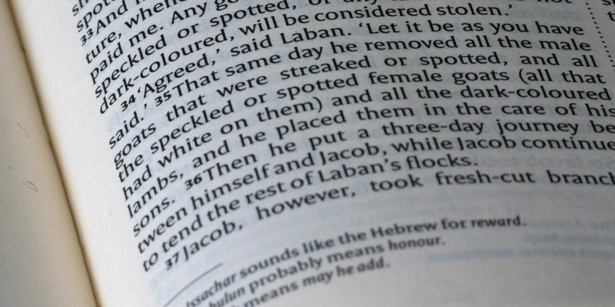 Closeup of an open humorous novel